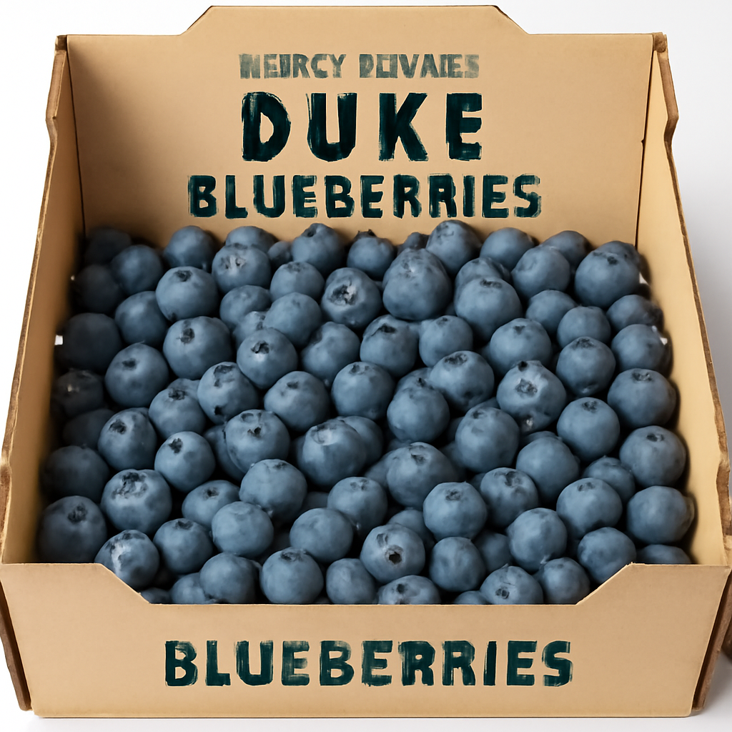 Erken Hasat Yaban Mersini — Duke
