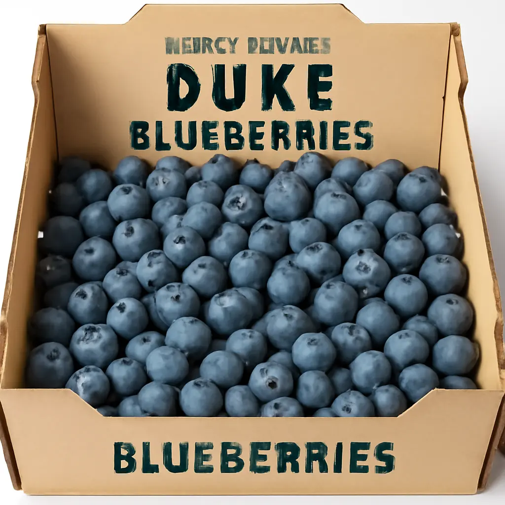 Erken Hasat Yaban Mersini — Duke