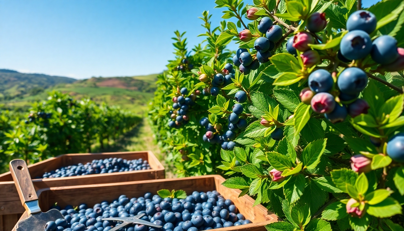 Gelecek Perspektifleri ve Öneriler