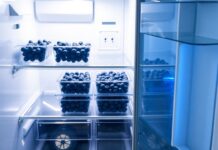 Yaban Mersini Buzdolabı Bölümünde Nelere Bakmalı? Yaban Mersini Buzdolabı Bölümünde Nelere Bakmalı?