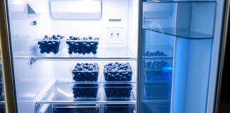 Yaban Mersini Buzdolabı Bölümünde Nelere Bakmalı? Yaban Mersini Buzdolabı Bölümünde Nelere Bakmalı?