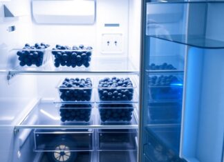 Yaban Mersini Buzdolabı Bölümünde Nelere Bakmalı? Yaban Mersini Buzdolabı Bölümünde Nelere Bakmalı?