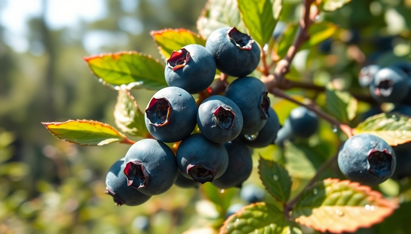 Çevresel Faktörlerin Etkisi