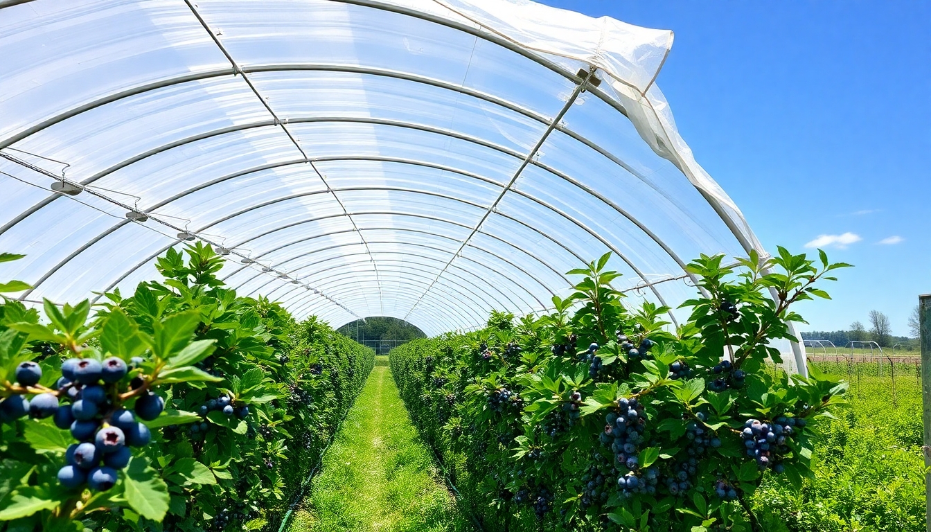 Yüksek Tünel Nedir ve Neden Kullanılır?